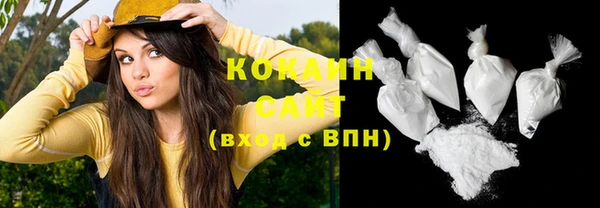 спайс Кулебаки