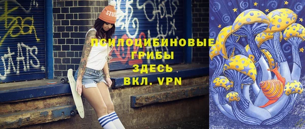 индика Кукмор