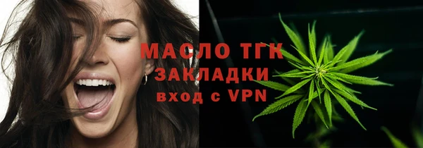 индика Кукмор