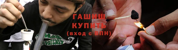 индика Кукмор