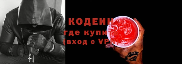 индика Кукмор