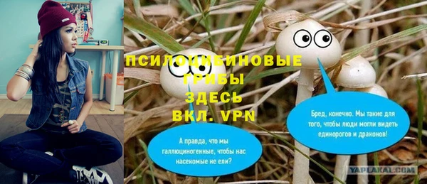 спайс Кулебаки