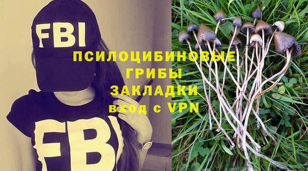 индика Кукмор