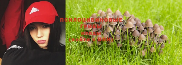 трава Ладушкин