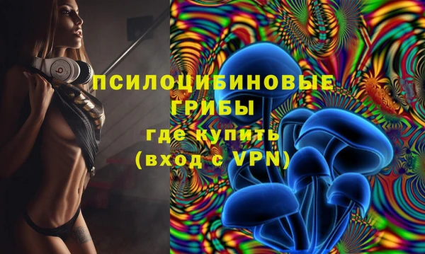 индика Кукмор